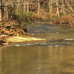 ellijay cabin rentals creekside