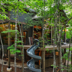 cherry log ga cabin rentals