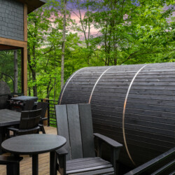 cherry log ga cabin rentals