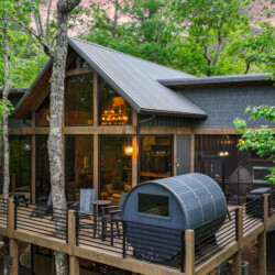 cherry log ga cabin rentals