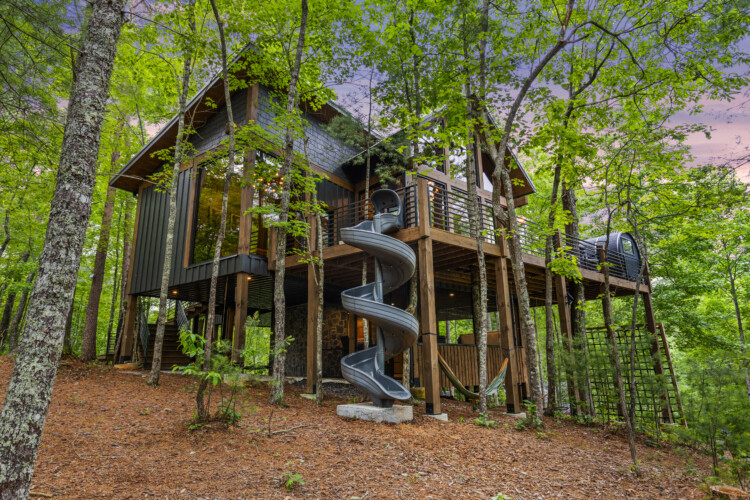 cherry log ga cabin rentals
