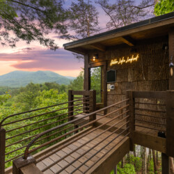 treehouse rentals in north georgia