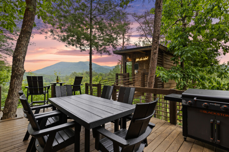 treehouse rentals in north georgia