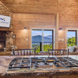 waynesville cabin rentals