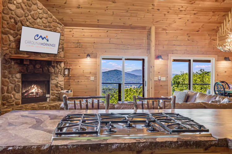 waynesville cabin rentals