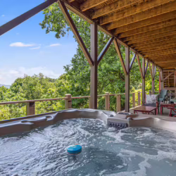 waynesville cabin rentals