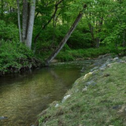 vacation rentals blairsville ga