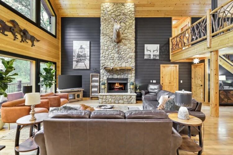 large cabin rentals georgia