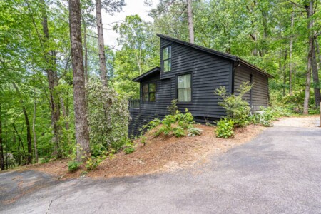lake burton georgia cabin rentals