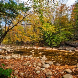 cabins on pemi river nh