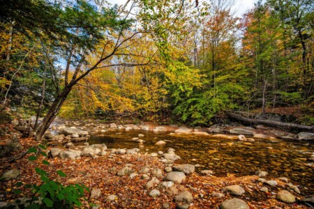 cabins on pemi river nh