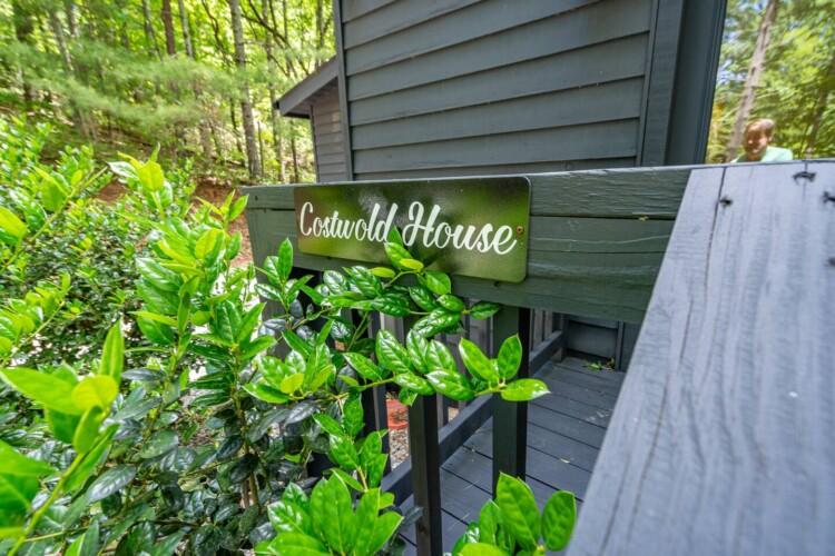 clayton ga cabin rentals