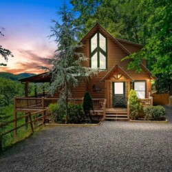cabin rentals cherry log ga