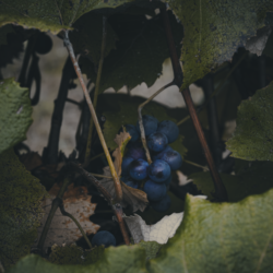 wisconsin dells cabin rentals with hot tub