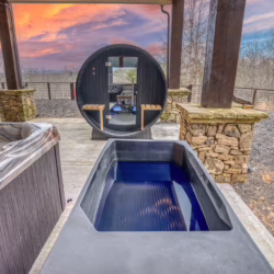 mineral bluff ga cabins