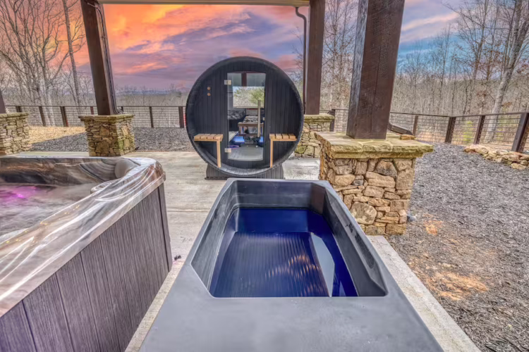 mineral bluff ga cabins