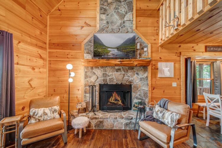 mineral bluff cabins