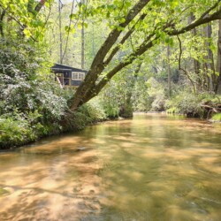 cabin rentals in clayton ga
