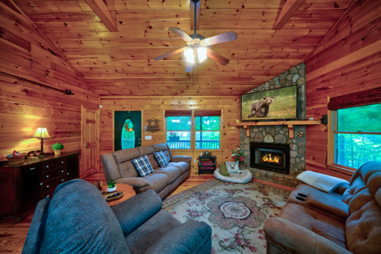 cabins in ellijay ga
