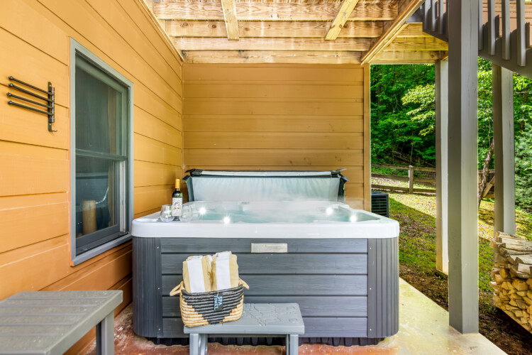 ellijay cabin