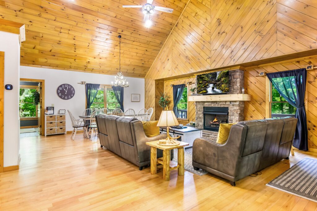 ellijay cabin