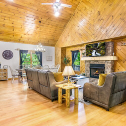 ellijay cabin