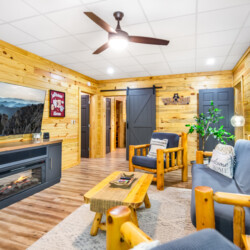 ellijay cabin