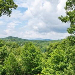 mountain top cabin rentals in blue ridge ga