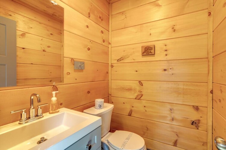 cabin in sevierville tn