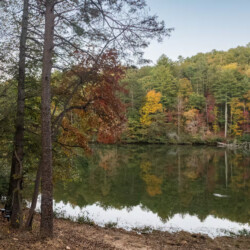 lakefront north georgia cabin