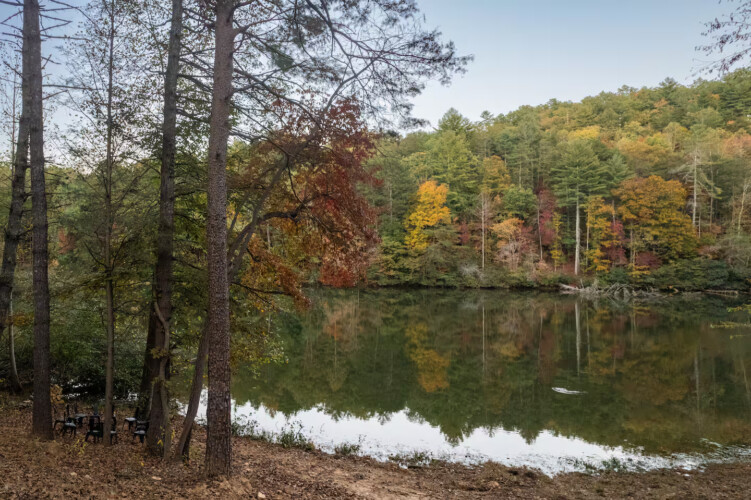 lakefront north georgia cabin