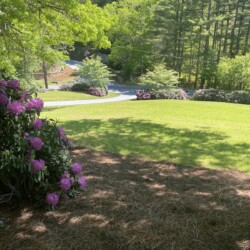 lake glenville nc cabin rentals