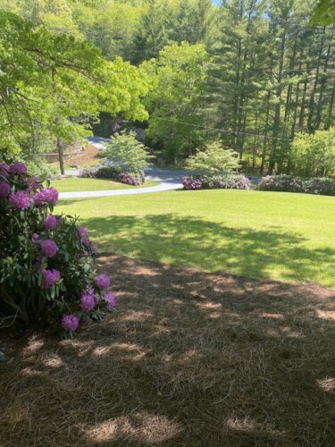 lake glenville nc cabin rentals