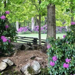 lake glenville nc cabin rentals