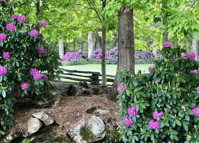 lake glenville nc cabin rentals
