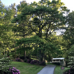 lake glenville nc cabin rentals