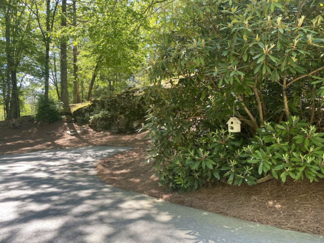 lake glenville nc cabin rentals