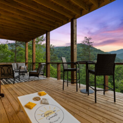 cabin rentals in cherry log ga