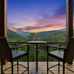 cabin rentals in cherry log ga
