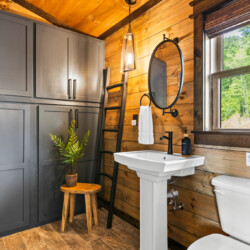 cabin rentals in cherry log ga