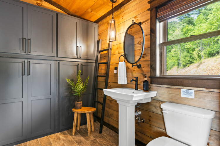 cabin rentals in cherry log ga