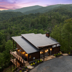 cabin rentals in cherry log ga