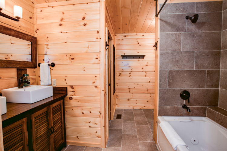 saluda cabin rentals