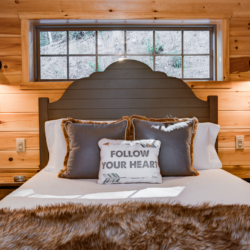 saluda cabin rentals