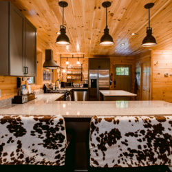 saluda cabin rentals
