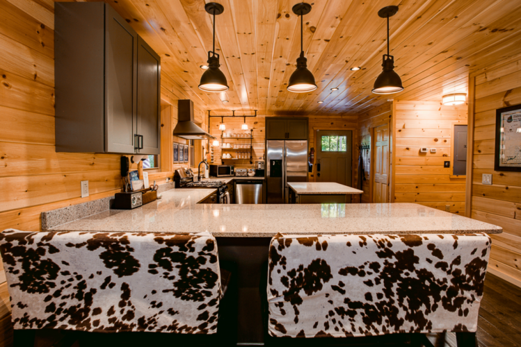saluda cabin rentals