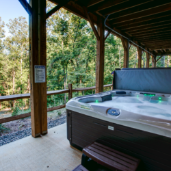 saluda cabin rentals