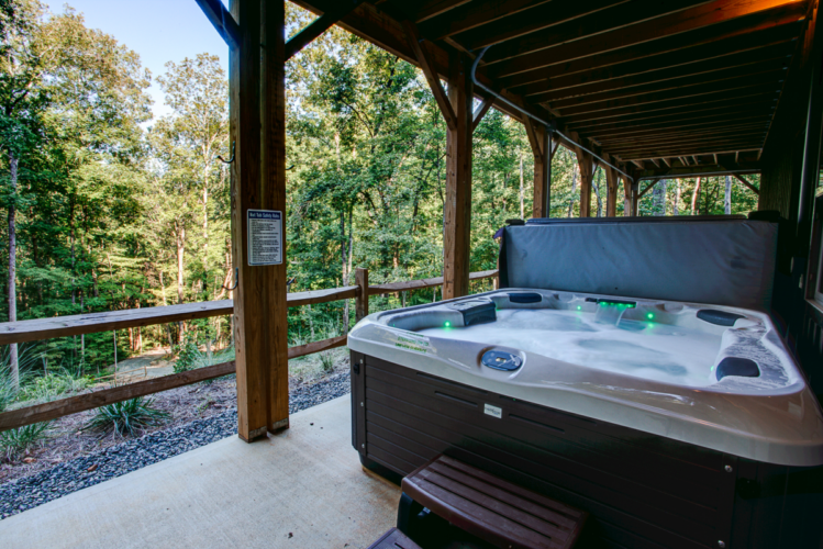 saluda cabin rentals