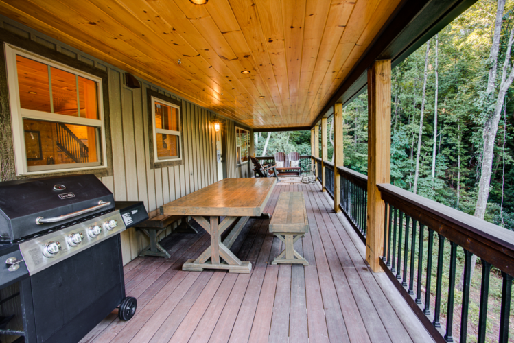 saluda cabin rentals