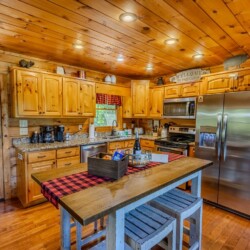 blue ridge pet friendly cabins